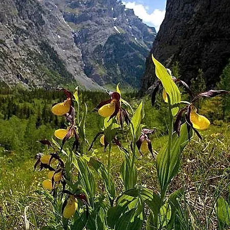 Отель Gasterntal
