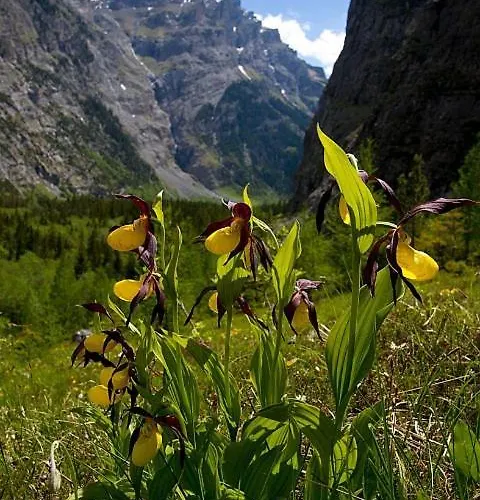 Gasterntal فندق *